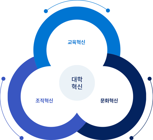 대학혁신 : 교육혁신, 조직혁신, 문화혁신